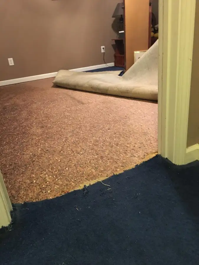 Carpet pad removal revealing water damage during Drying & Dehumidification in Leominster